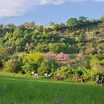 3 Hills Boutique - The Ranch Experience 4* Trilofos