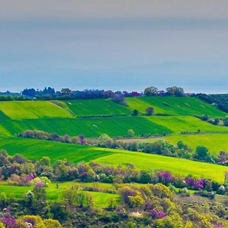 3 Hills Boutique - The Ranch Experience 4*