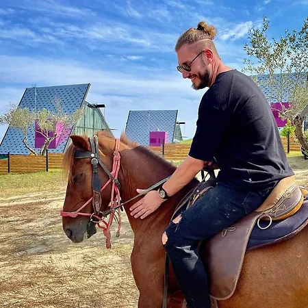 3 Hills Boutique - The Ranch Experience
