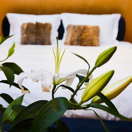 3 Hills Boutique - The Ranch Experience Trilofos