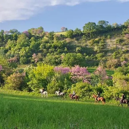 3 Hills Boutique - The Ranch Experience 4* Trilofos