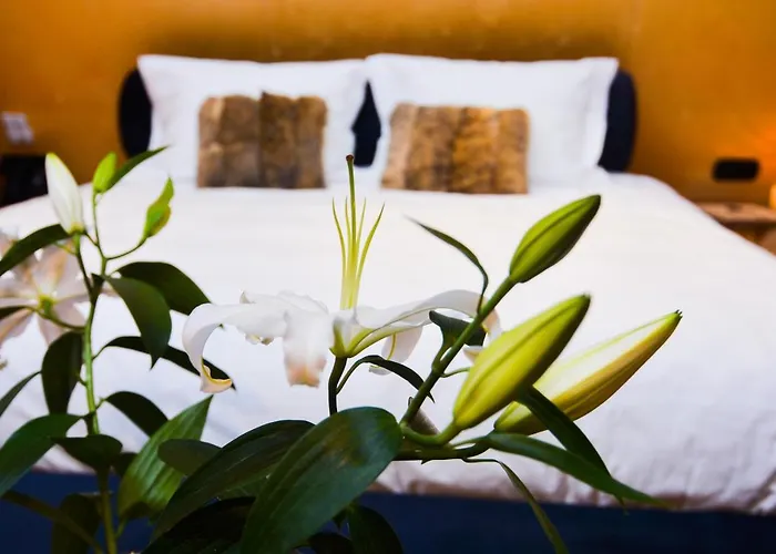 3 Hills Boutique - The Ranch Experience Trilofos