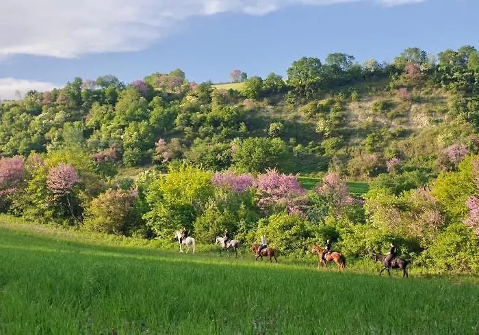 3 Hills Boutique - The Ranch Experience 4* Trilofos